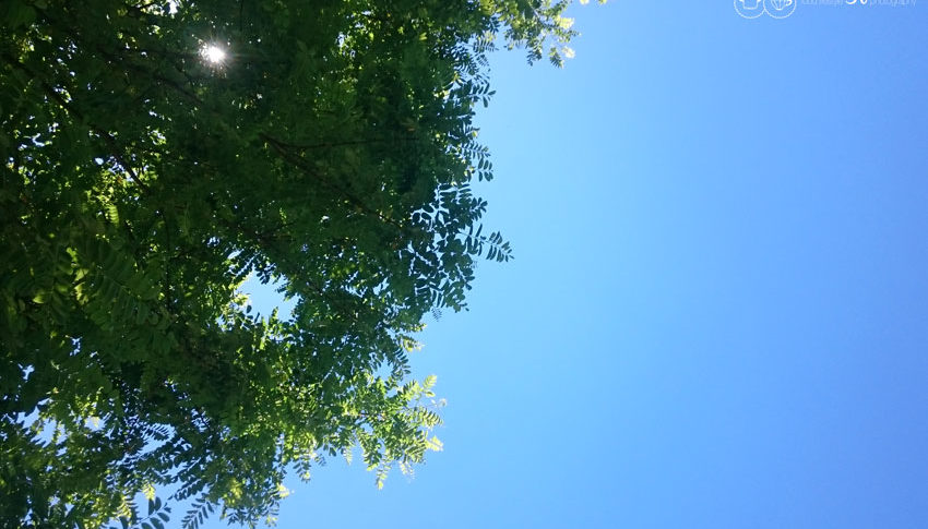 Der Blick in den Himmel gibt Zuversicht, um seine Ziele zu erreichen