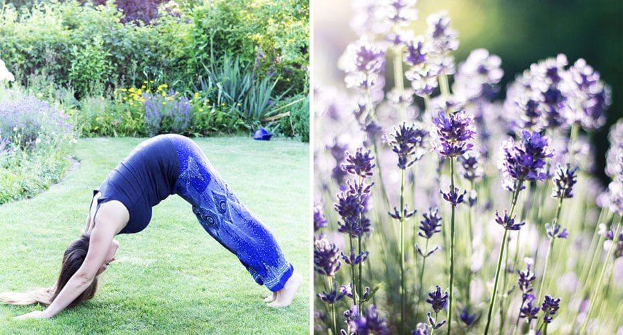 Yoga - Herabschauender Hund mit Lavendel