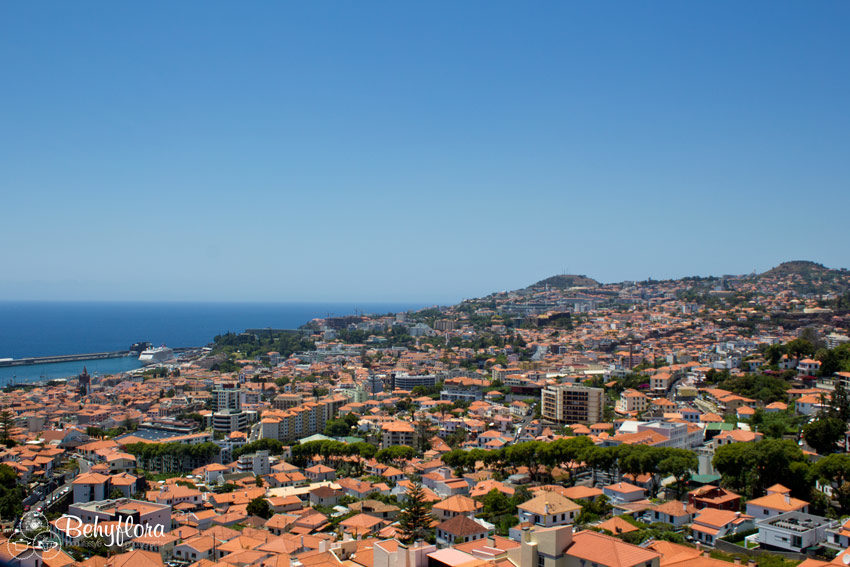 Funchal - Die Hauptstadt von Madeira