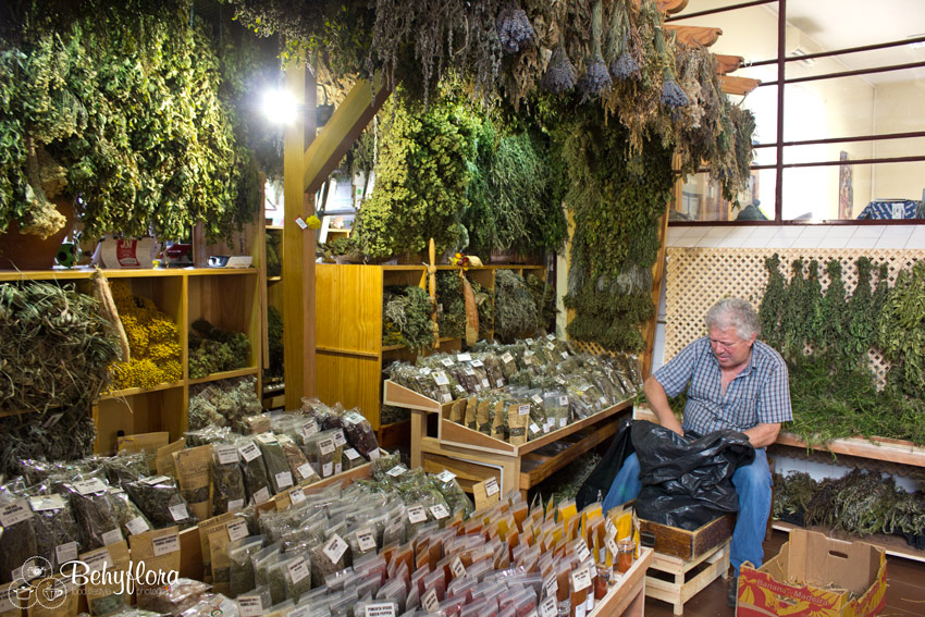 Kräuter und GEwürze in den Markthallen von Funchal