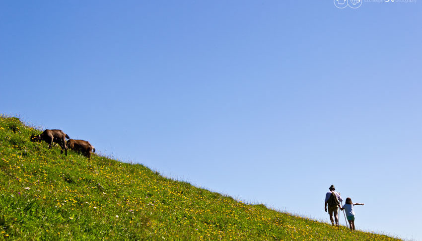 Berge als Wegweiser zur Freiheit