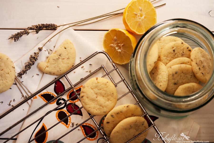 Zitronen-Cookies mit Tonka und Lavendel – Knuspirg-Fein.de